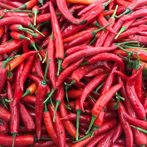 Big Green Chilli (Moti Hari Mirch)