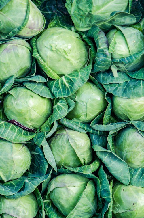 Cabbage (Patta Gobhi)