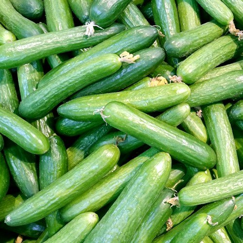 Cucumber (Kheera)