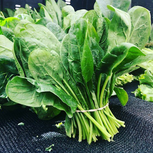 Fenugreek (Methi)