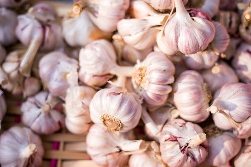 Garlic (Sukha Lehsun)